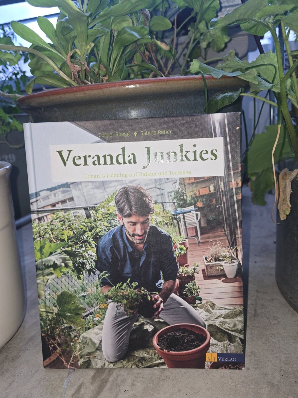 Libri: Buch  Veranda Junkies – Usato da Zürich venduto da nat_8c7c