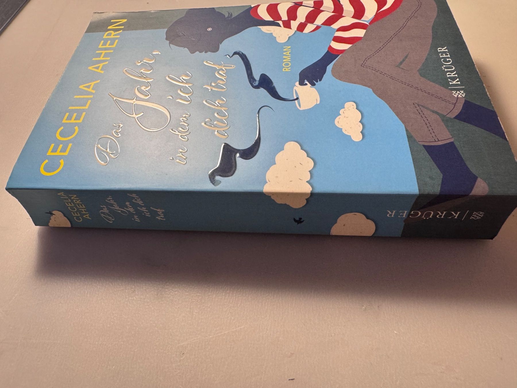 Libri: Cecelia Ahern: Das Jahr, in dem ich dich traf – Usato da Winterthur venduto da tam_7tbh 2