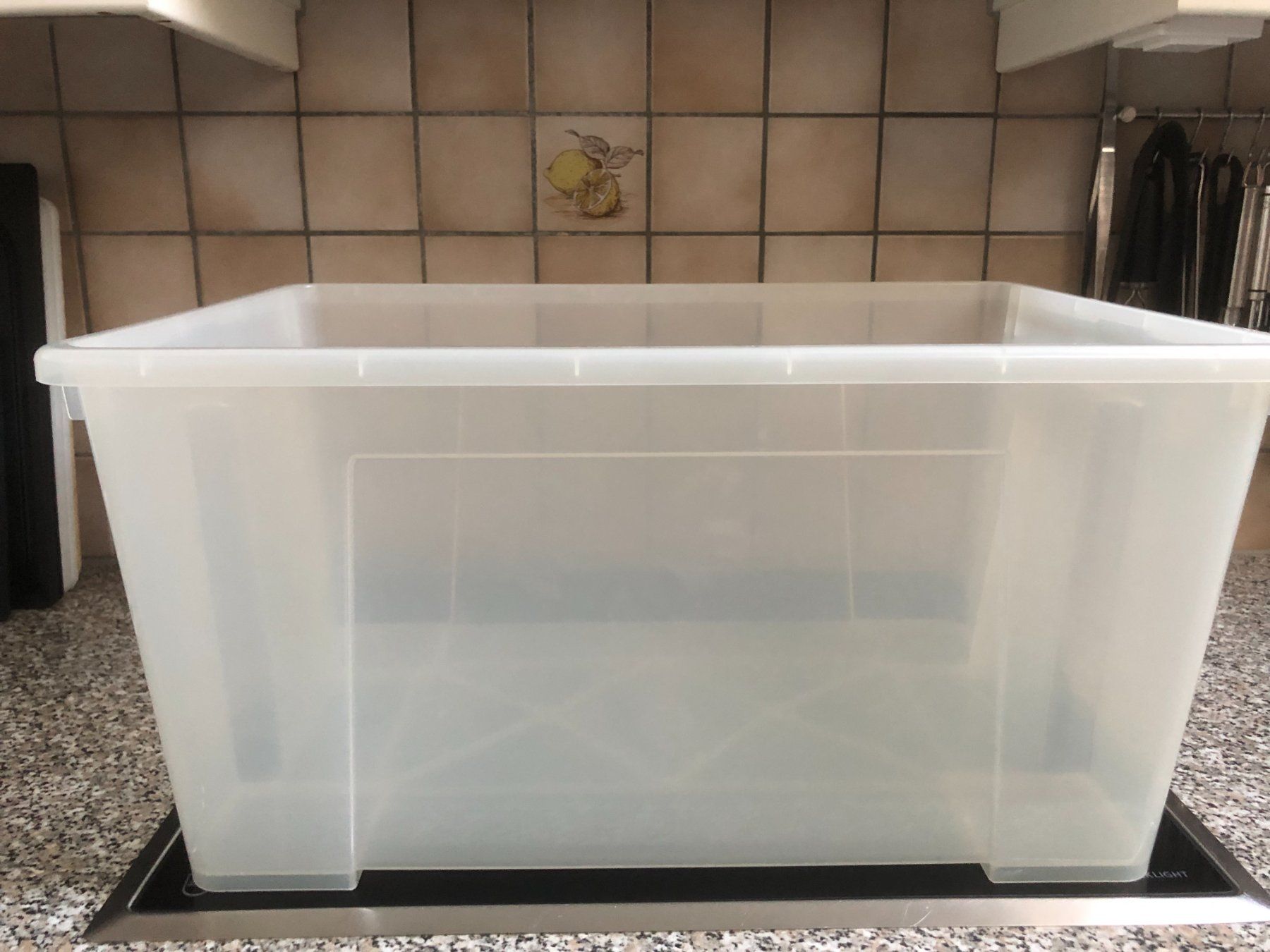 Transportkisten: 10 Stück Verpackungs Boxen ohne Deckel – Gebraucht aus Illnau von chiara041