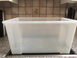 20 Stück Verpackungs Boxen ohne Deckel