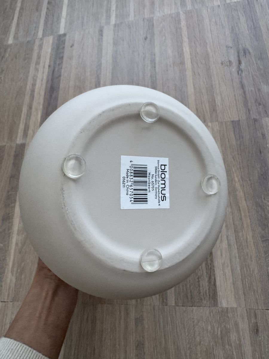 Blomus Vasi & Recipienti: Blomus Vase, beige, Top Zustand! – Usato da Binningen venduto da happy_xx 4
