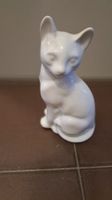 Urne Katze