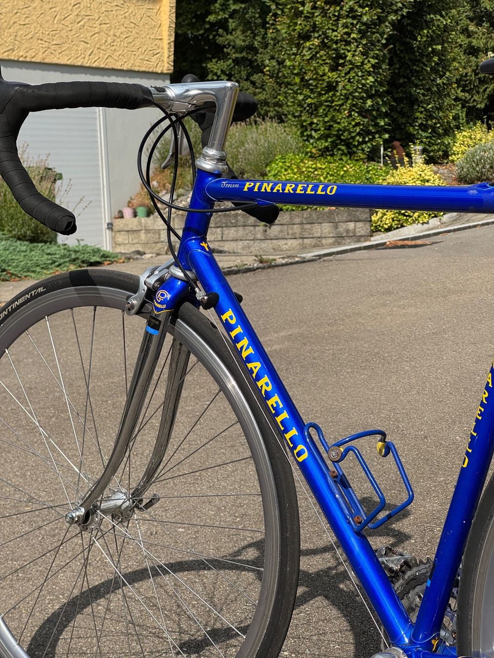 Biciclette: Pinarello Stelvio mit Campagnolo Komponenten – Usato da Berg SG venduto da cil_p8z9 2