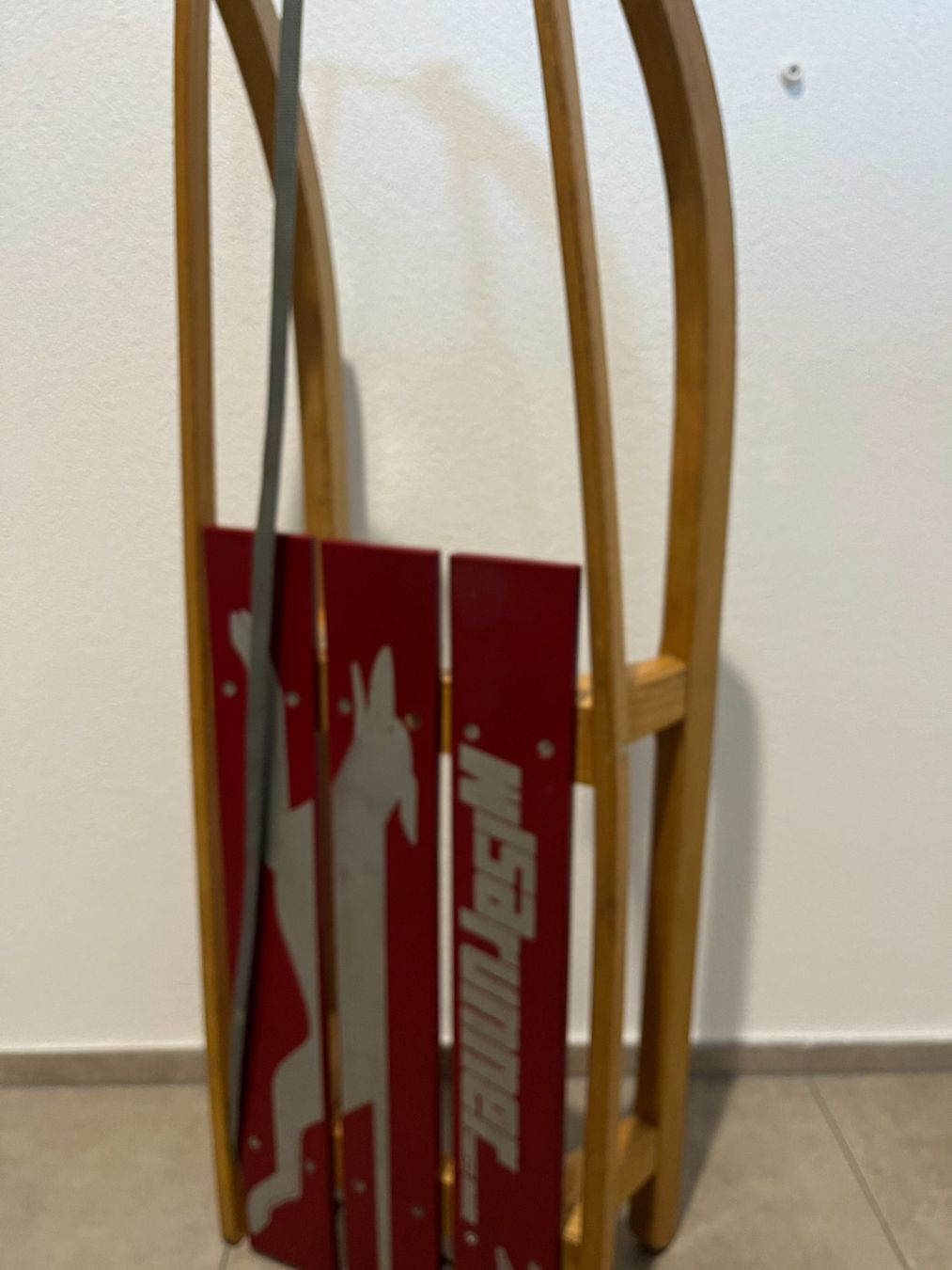 Schlitteln: Schlitten – Gebraucht aus Muri AG von casually 1