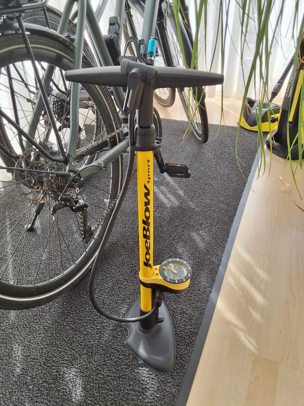 Kalkhoff Biciclette: Kalkhoff Velos – Usato da Zürich venduto da Schuscha02 7