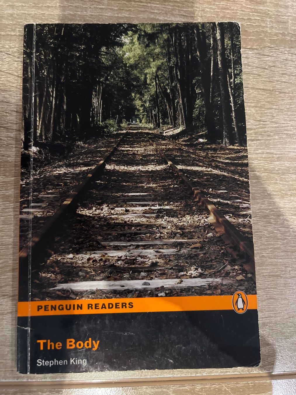 Libri: Horror-Bücher Sammlung: Horowitz, Doyle, Poe, Blake, King – Nuovo (secondo la descrizione) da Stalden VS venduto da Mister_20 3