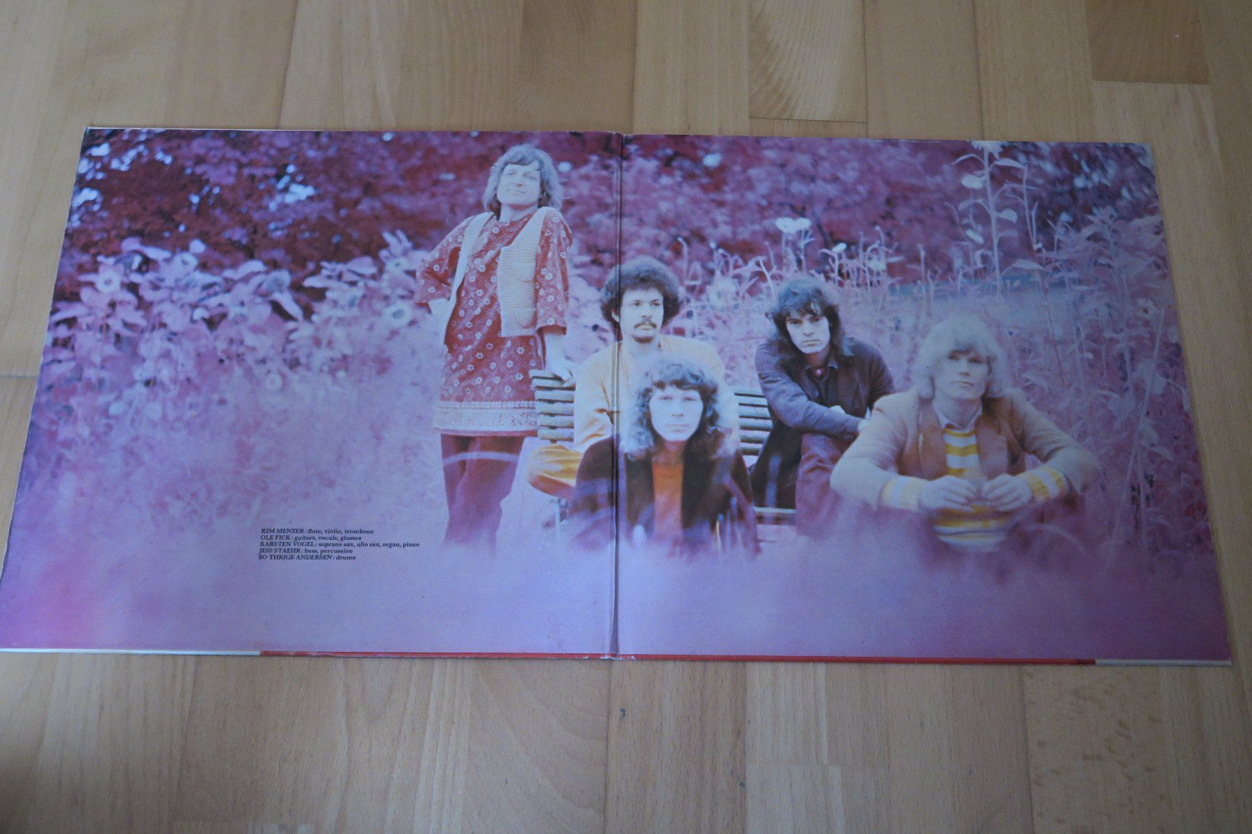 Dischi in vinile: Burnin Red Ivanhoe – Still Fresh – Usato da Thun venduto da Karibu70 1