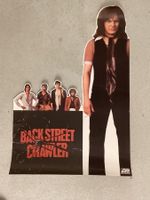 Promoplakat Backstreet Crawler