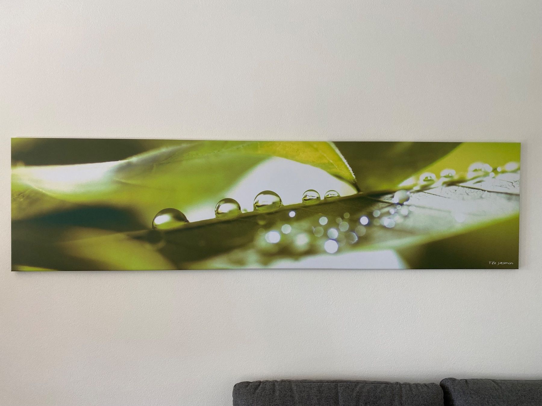 Foto & Immagini: Leinwand Bild 195 x 50 cm - Téo Jasmin – Usato da Nänikon venduto da Rogerscherrer