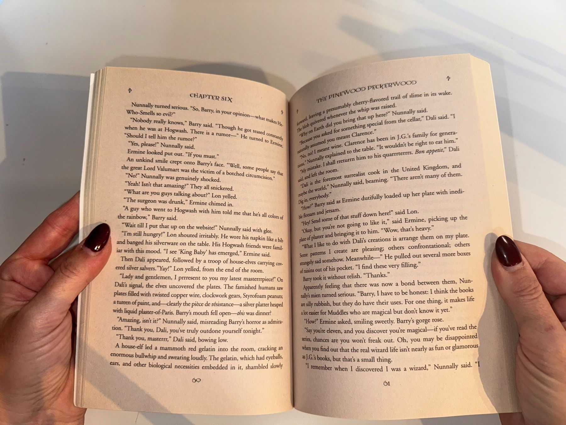 Bücher: NOVEL: Michael Gerber, Barry Trotter and the anautorized .. – Gebraucht aus Grosswangen von English_books 4