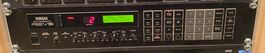 Yamaha REV 5, Digitaler Hall