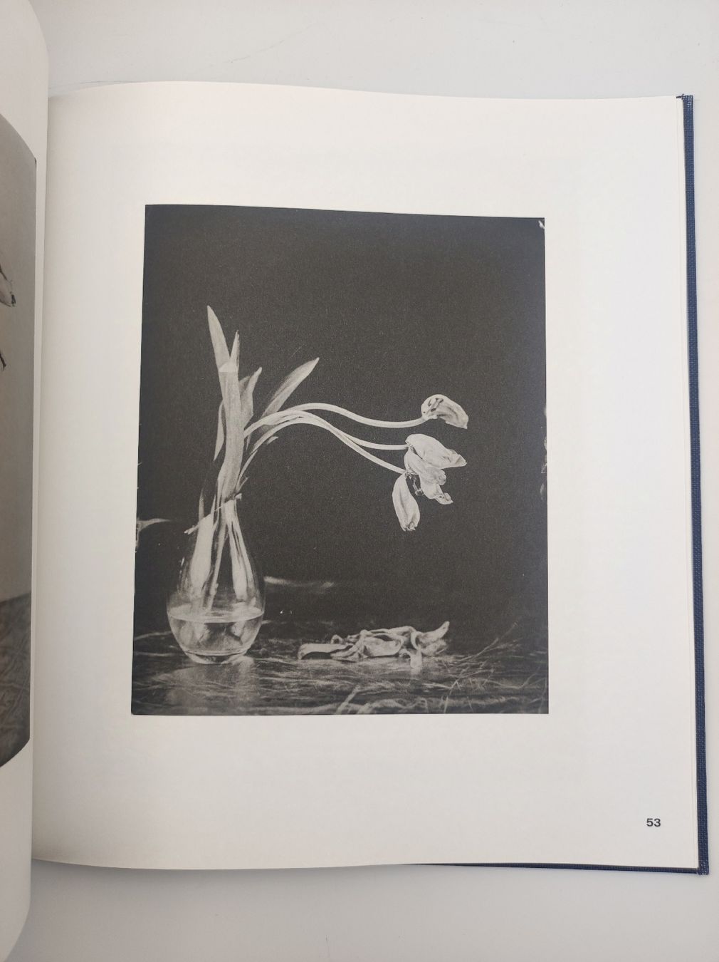 Libri: PHOTOBOOKS - STEFFEN DIEMER – Nuovo (secondo la descrizione) da Goldach venduto da Gaip