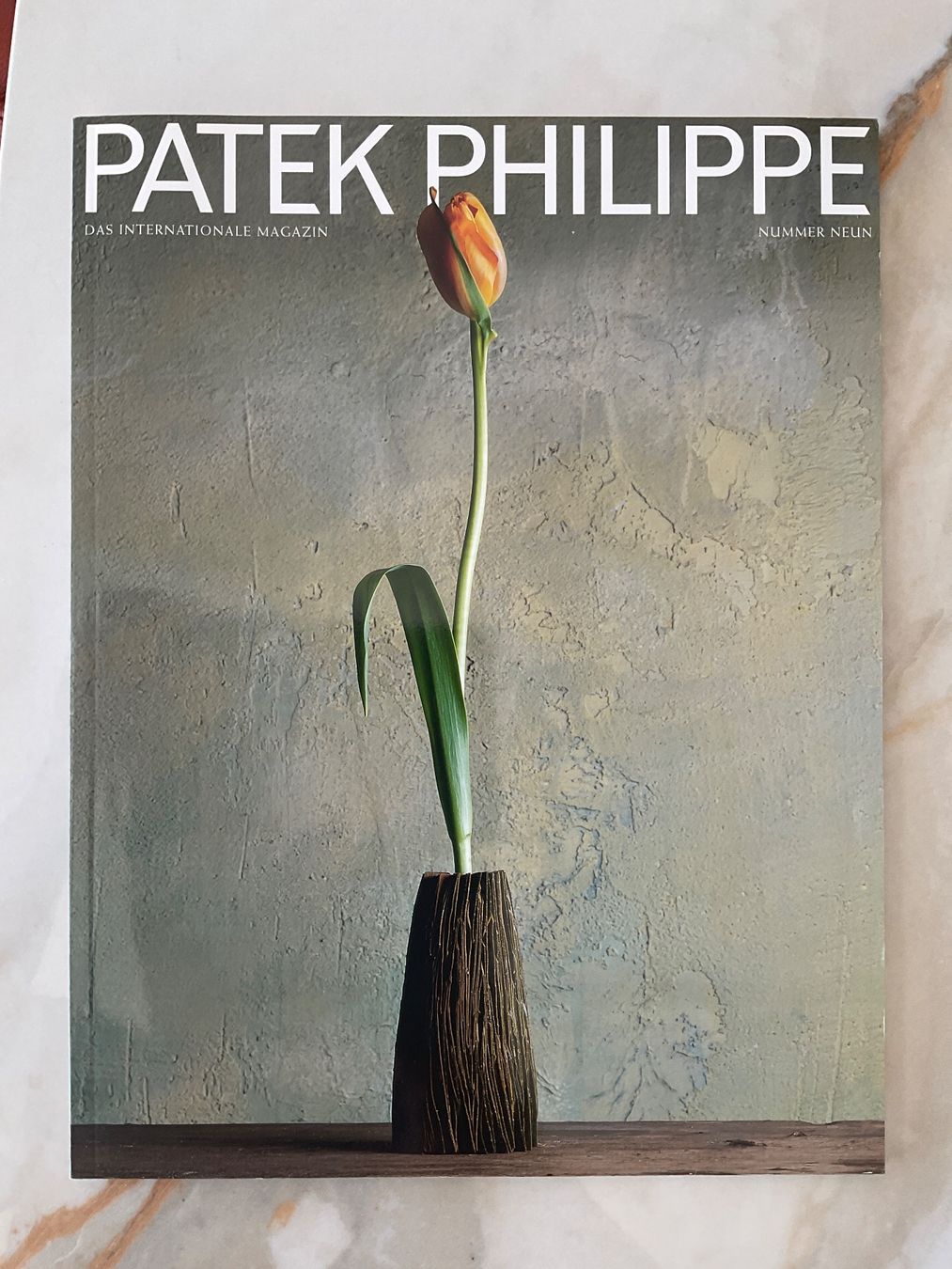 Grafica & Litografie: Patek Philippe Lithographie  VI/200I – Usato da Brugg AG venduto da Roby61 2