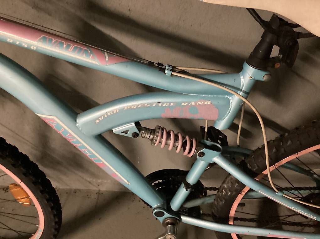 Biciclette: Vélo Avalon – Usato da Paudex venduto da Bdolovech 4