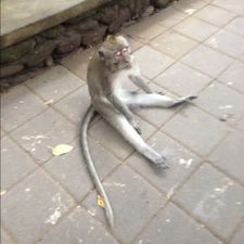 Profile image of luk_y5gw