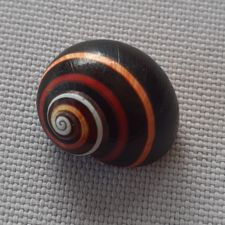 Profile image of aldasable