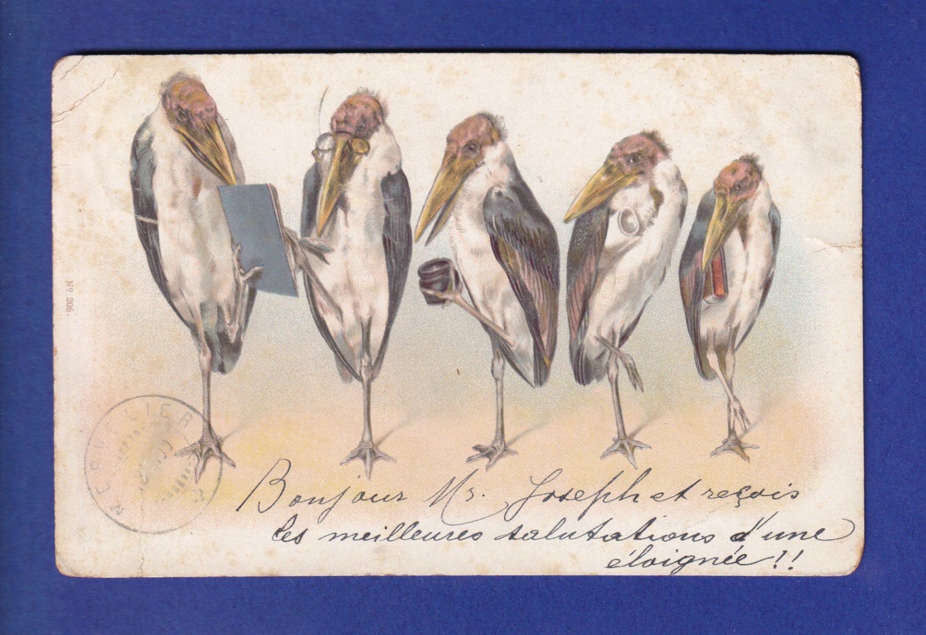 Ansichtskarten: OISEAU - Marabou // déchirure // – Gebraucht aus Pully von nicecards-shop