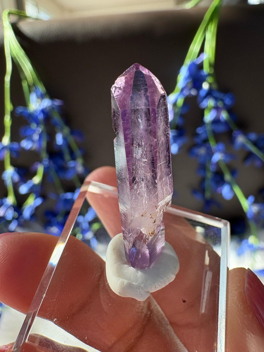 Pietre preziose: Veracruz Amethyst – Nuovo (secondo la descrizione) da Neuheim venduto da m.hald 5