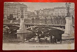 Les Mouettes a Genève 1912 Pferdekutsche