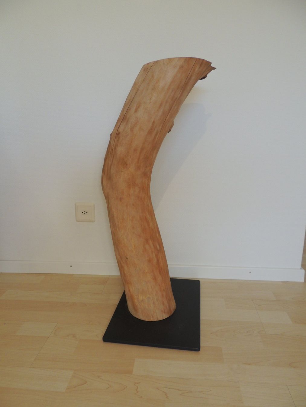 Articoli in legno: Baumstamm / Deko-Säule – Usato da Rickenbach b. Wil venduto da heinz5 4