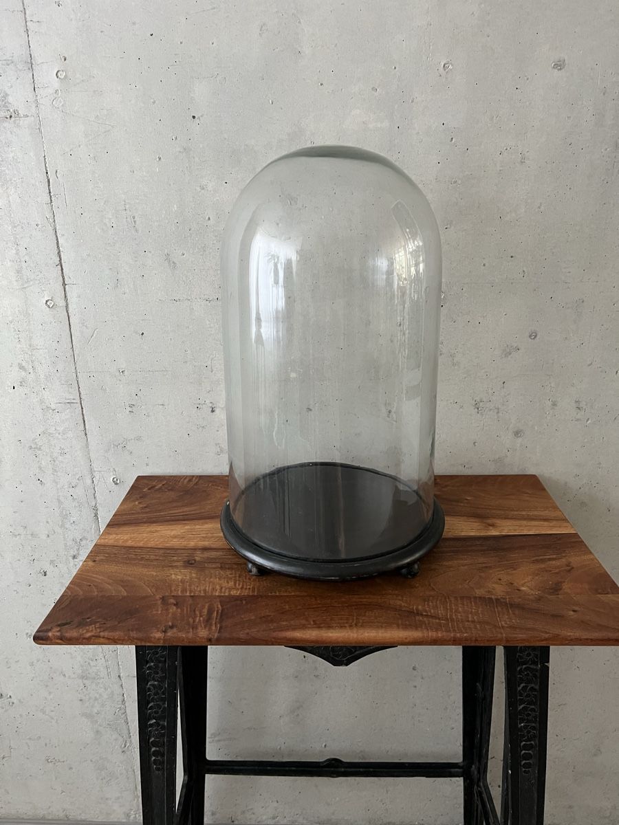 Tutte le decorazioni: Antike sehr grosse Glas Glocke / Glaskuppel – Usato da Wabern venduto da La-Vitrine 1