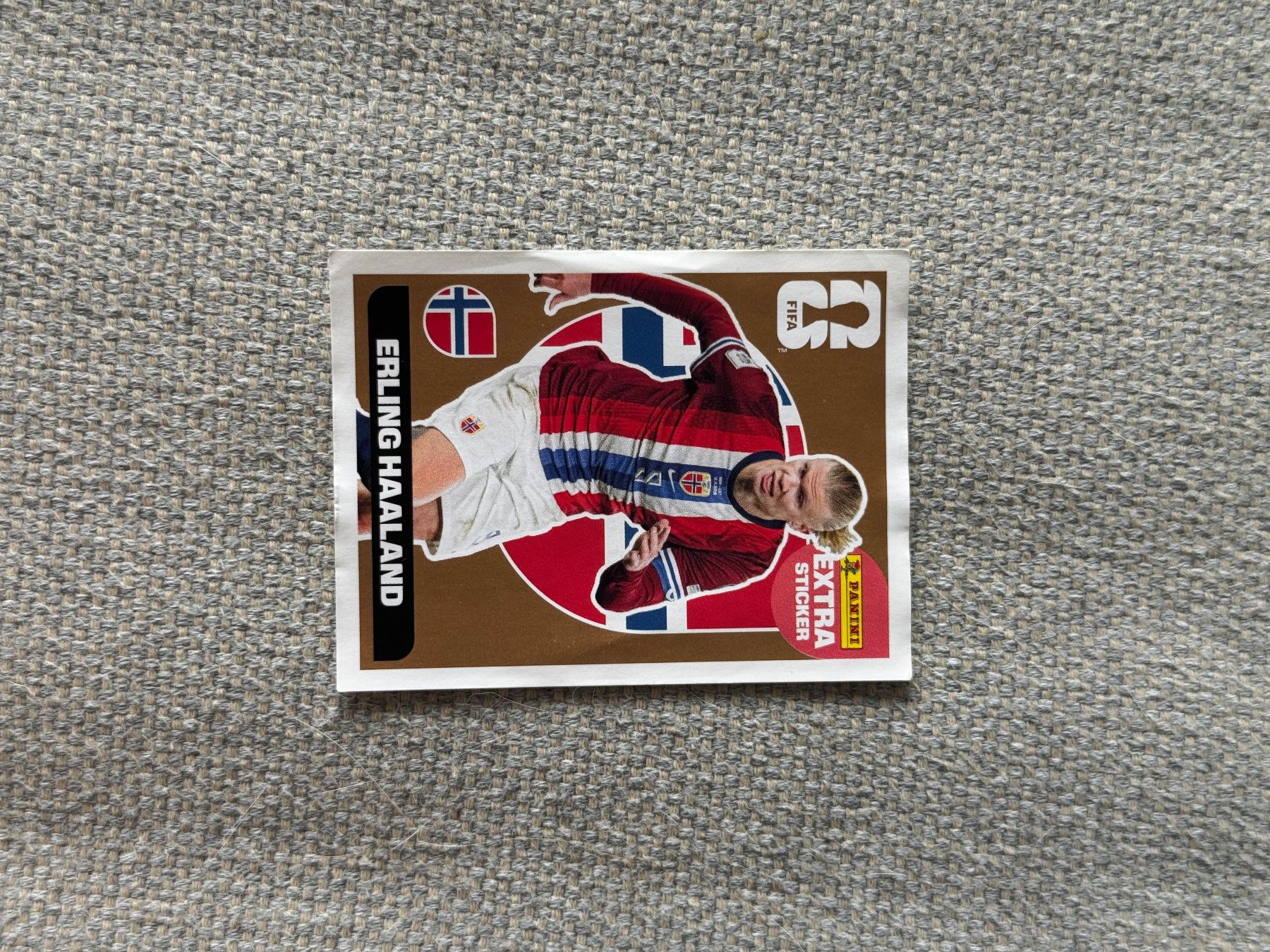 Panini Carte collezionabili: Panini Extra Sticker bronze Haaland – Usato da Bachenbülach venduto da csp_6rns