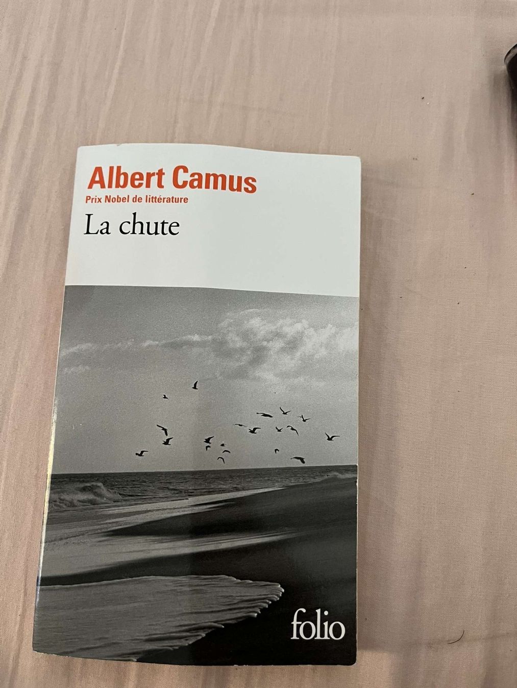 Libri: La chute (Albert Camus) – Usato da Venthône venduto da Liam_2909