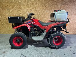 Quad Kawasaki Lakota 300 mit Schneeschild