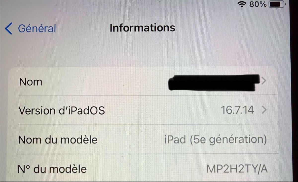 Apple Tablet PC: Ipad 5 128 GB Silber – Usato da Egg b. Zürich venduto da Stence-76 3