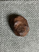 Twannberg Meteorit direkt vom Finder 100% Garantiert Echt
