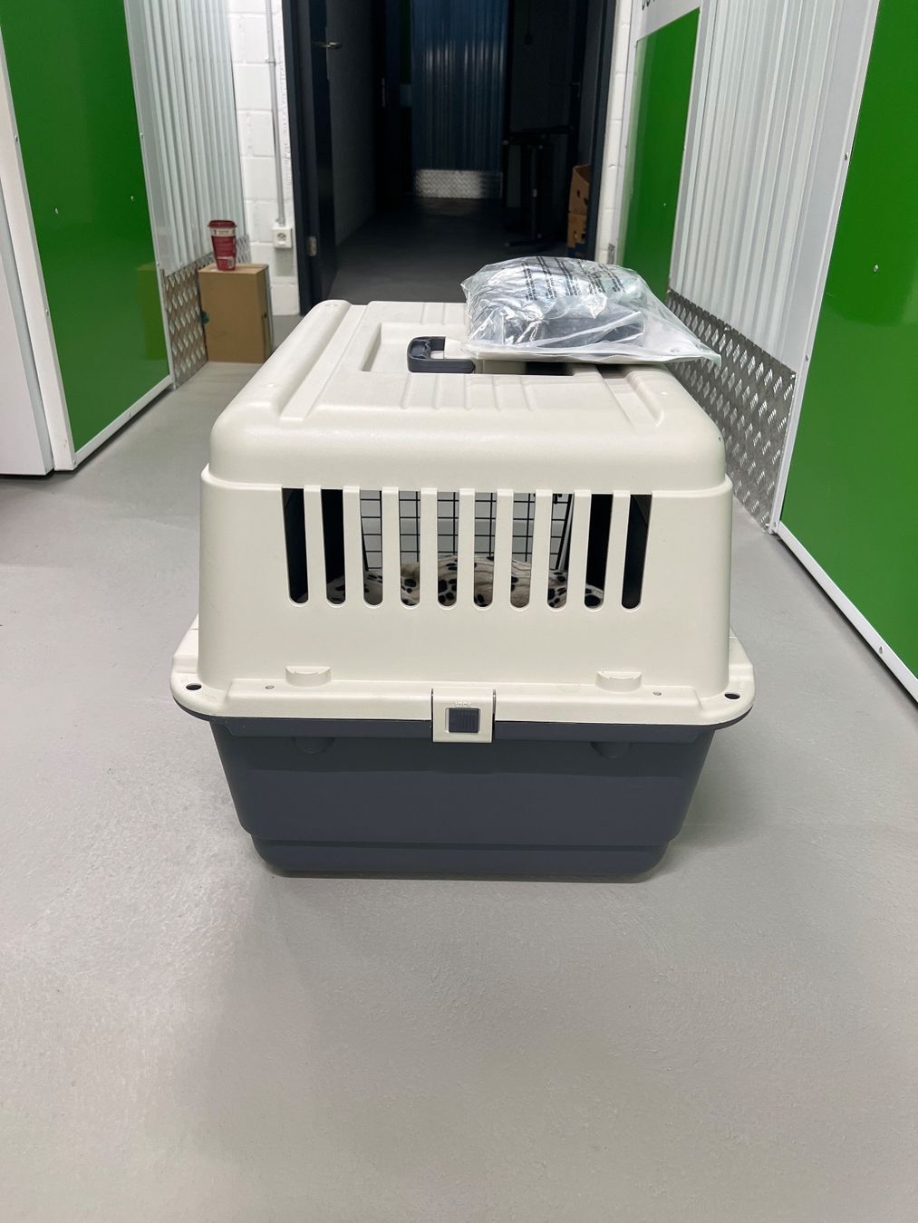Gabbie, trasporto & Sicurezza: Hunde/Katzen-Transportbox – Usato da Frasnacht venduto da bas_sm57 2