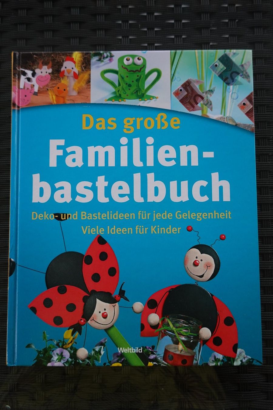 Libri: Das grosse Familien-Bastelbuch – Usato da Dietlikon venduto da Pgm16