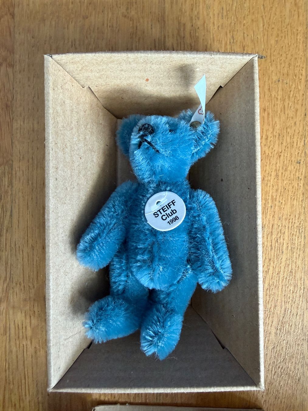 Steiff Giocattoli: Steiff Club Bär 1998 – Nuovo e nell'imballaggio originale da Thônex venduto da gio_cd95 1