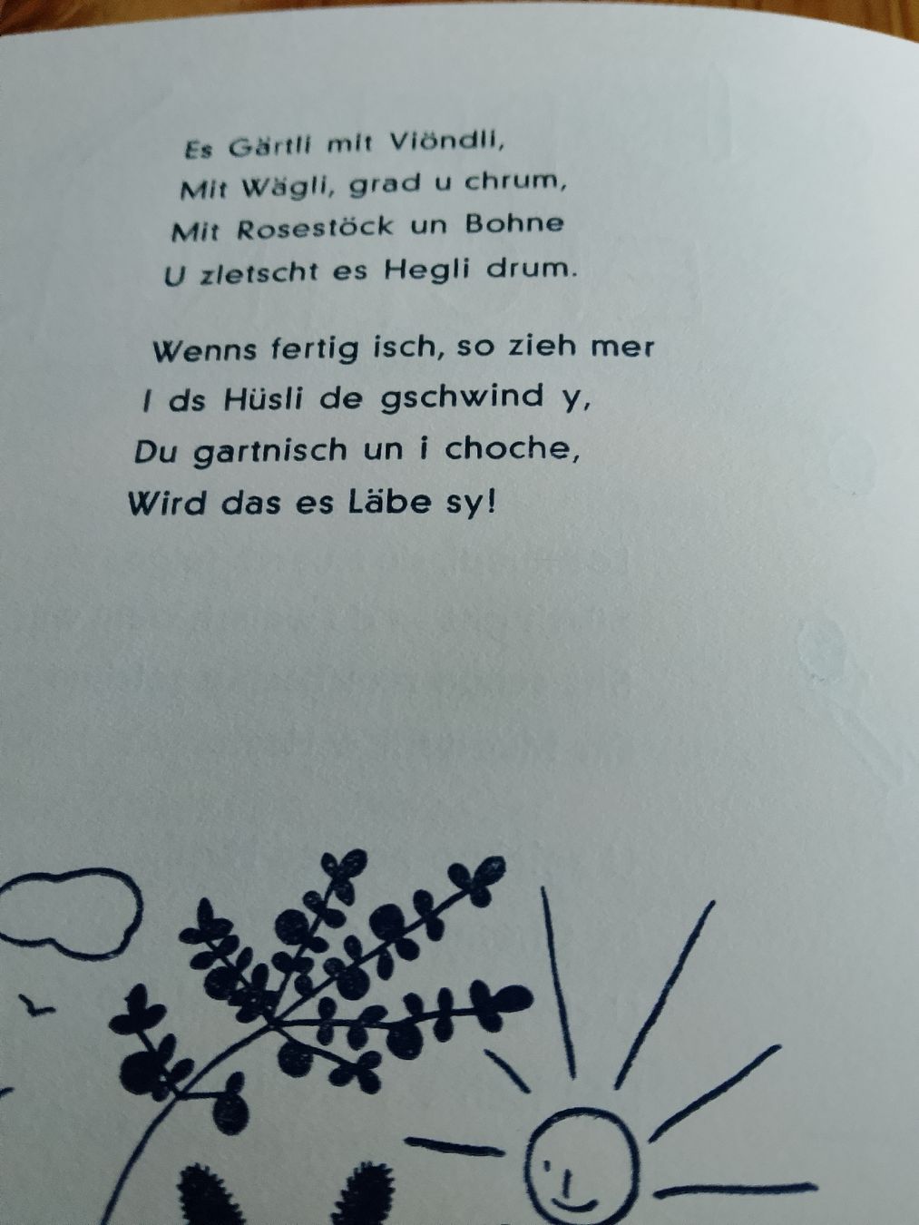 Libri: Usem Chinderland – Usato da Volken venduto da katz5 1