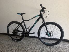 Wheeler Herren Top Bike