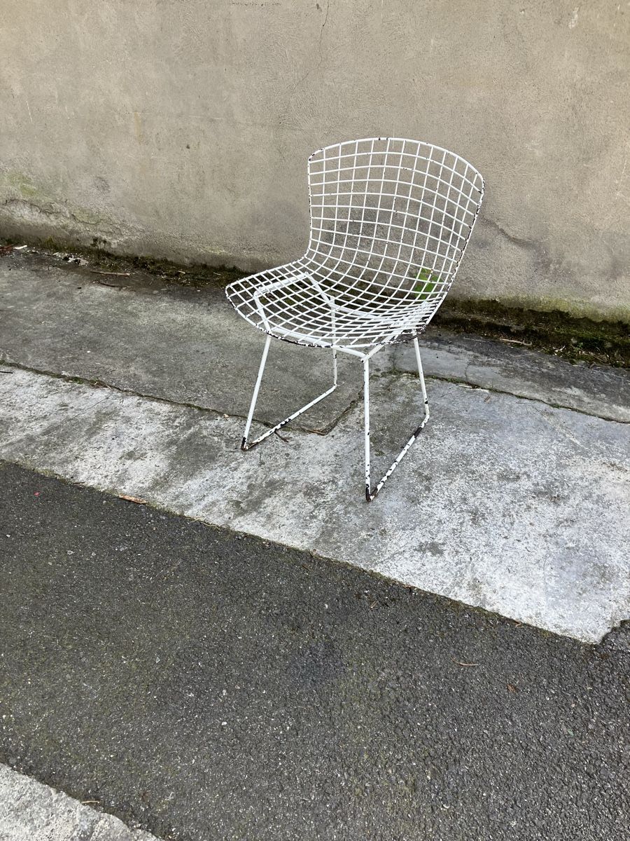 Sedie: Harry Bertoia Vintage Stuhl – Usato da fribourg venduto da Retroverso 1