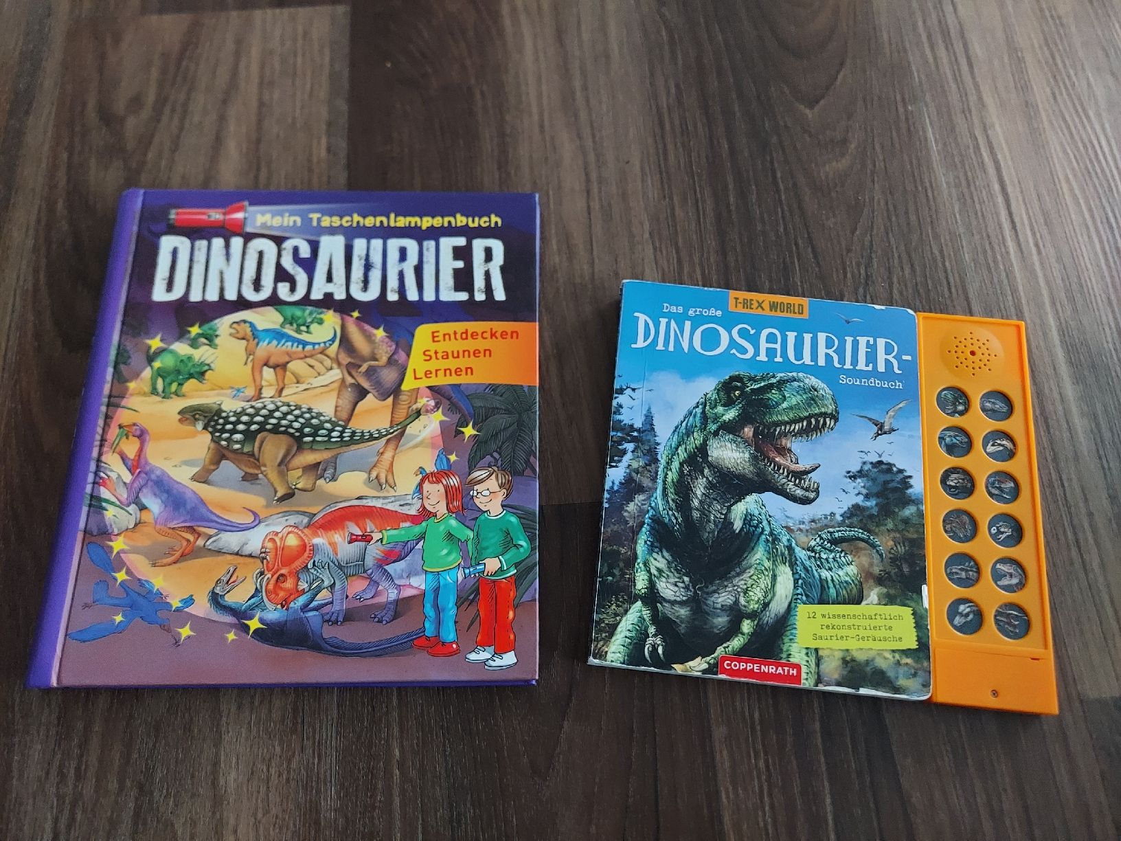 Libri: 2x Dinosaurier Bücher – Usato da Altishofen venduto da tammy05
