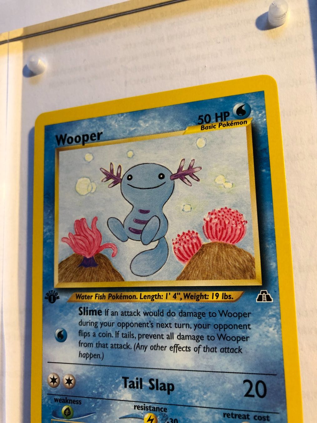 Sammelbilder & Trading cards: Wooper 1st Neo Discovery - MINT - ab 1.- – Gebraucht aus Giubiasco von dan_pr8b 3