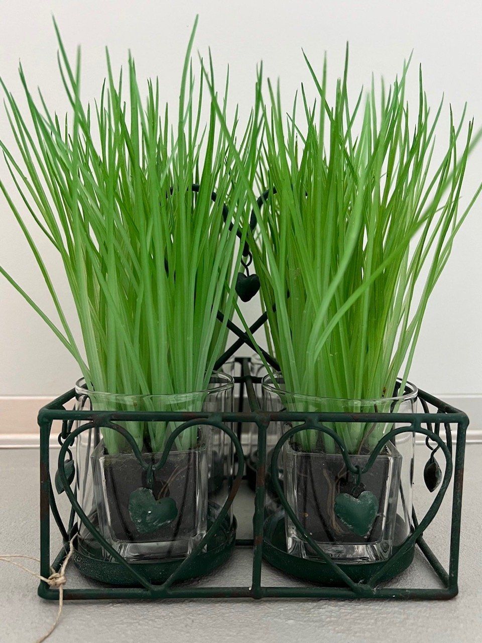 Blumentöpfe: Blumenübertöpfe Dekogestell Glas / Metall – Gebraucht aus Thun von Steinitz 3