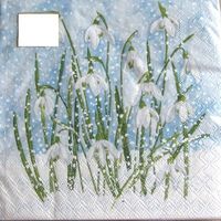 Serviette snowdrops in snow (w486) 2Stk.
