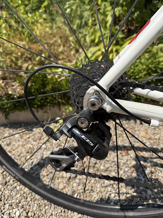 Vélos: Rennrad Price – D'occasion à Huttwil par Stan57 2