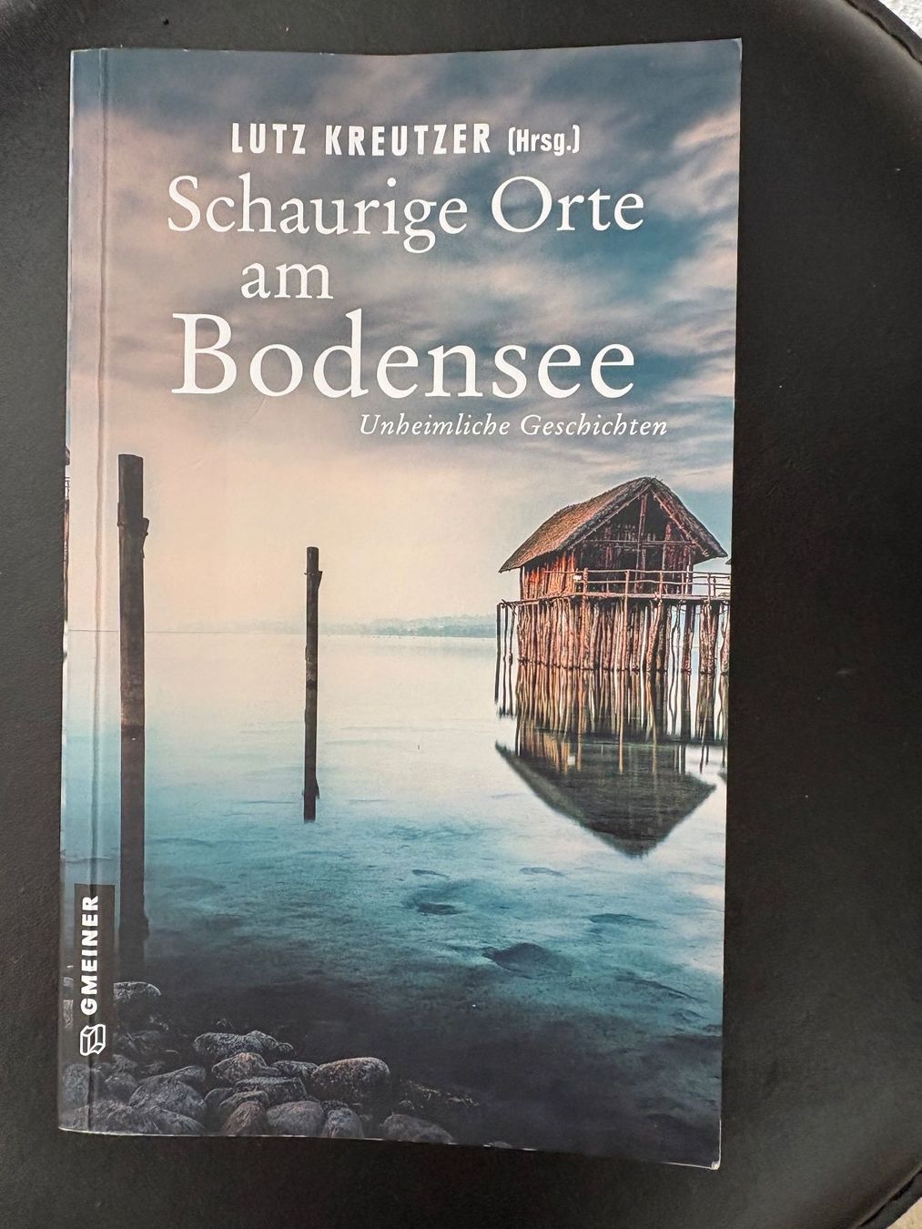 Libri: 11 Schweizer Krimis (Bodensee) – Usato da Oberweningen venduto da Gerini 9