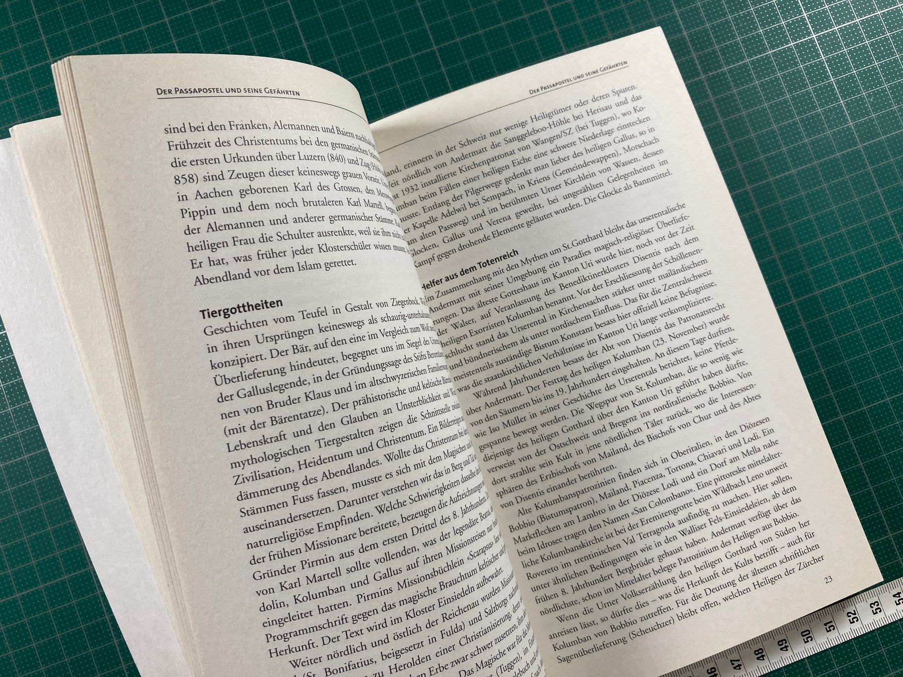 Bücher: Pirmin Meier: Landschaft der Pilger – Defekt aus Lenzburg von fh1 5