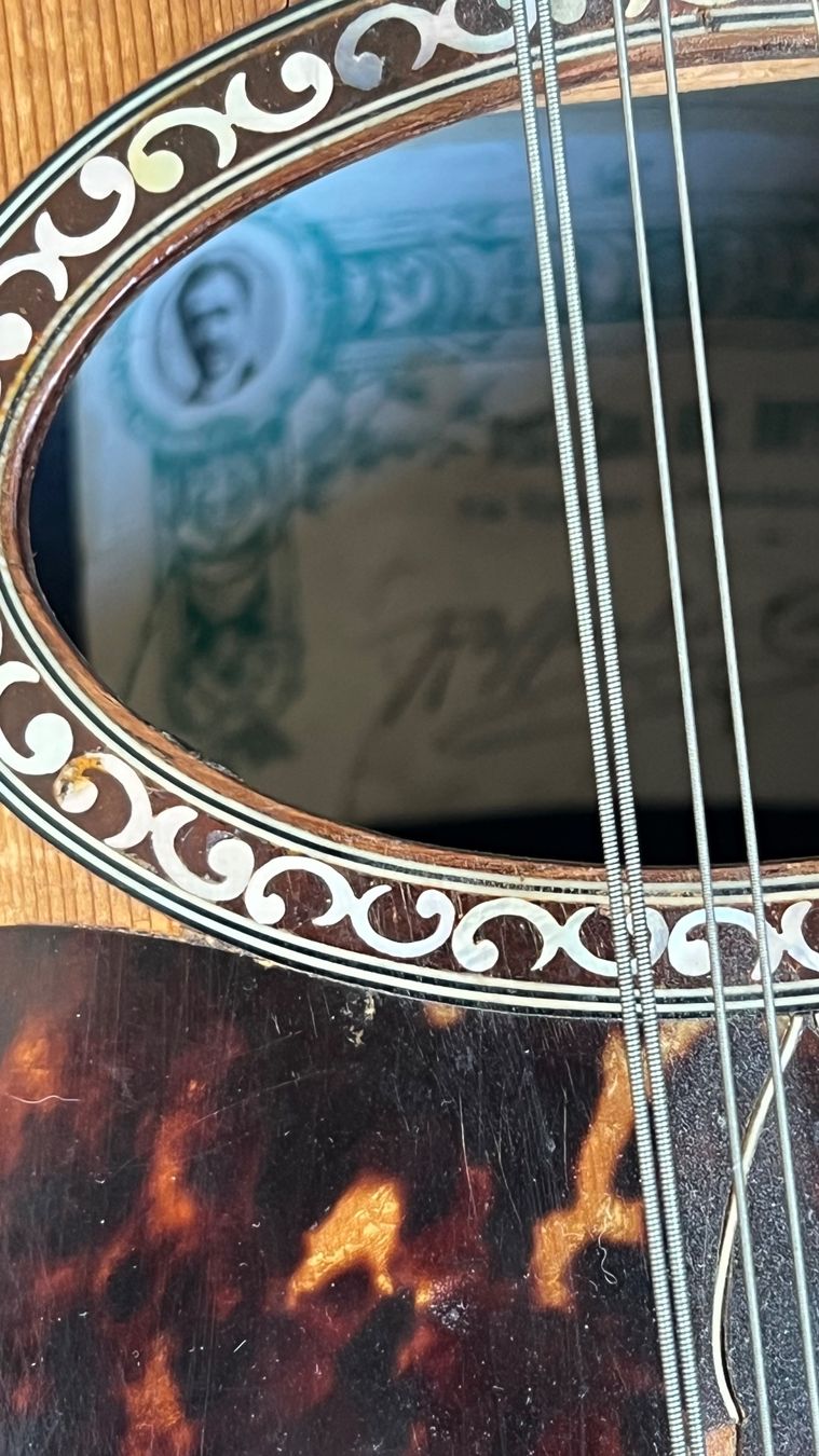 Strumenti musicali: Mandoline Raffaele Calace 1925 – Usato da Luzern venduto da TENDIMO 9
