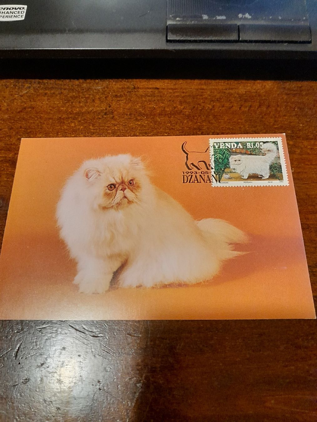 Alle Briefmarken: Carte postale rare chat Persan - édition limitée! – Gebraucht aus Marly von globetrotter1723