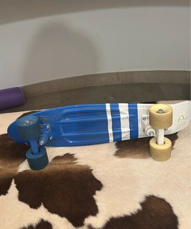 Penny Skateboards Skateboards: Penny skateboard – Usato da Confignon venduto da lynningva