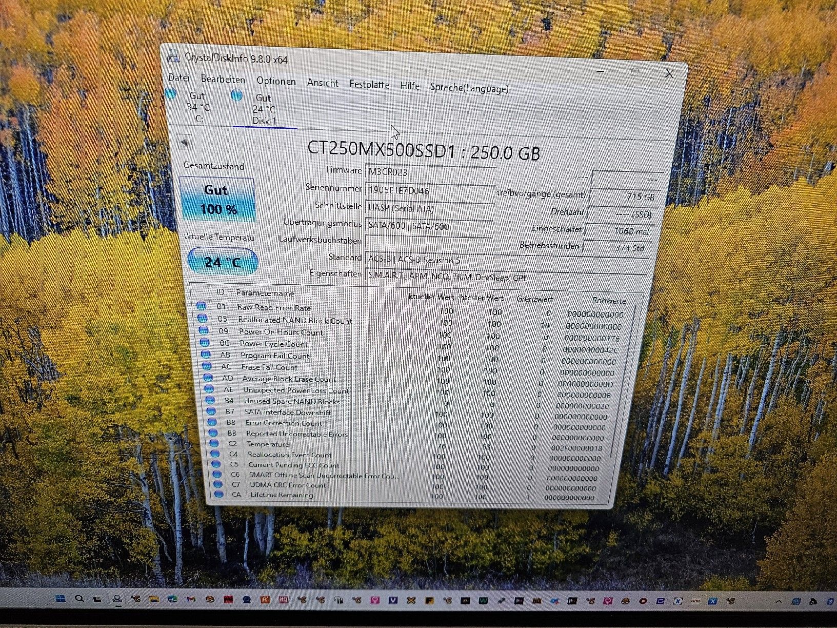 Dischi rigidi: 4 Festplatten a 250 Gb – Usato da Burgdorf venduto da weggu.666 4