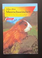 Alles über Meerschweinchen