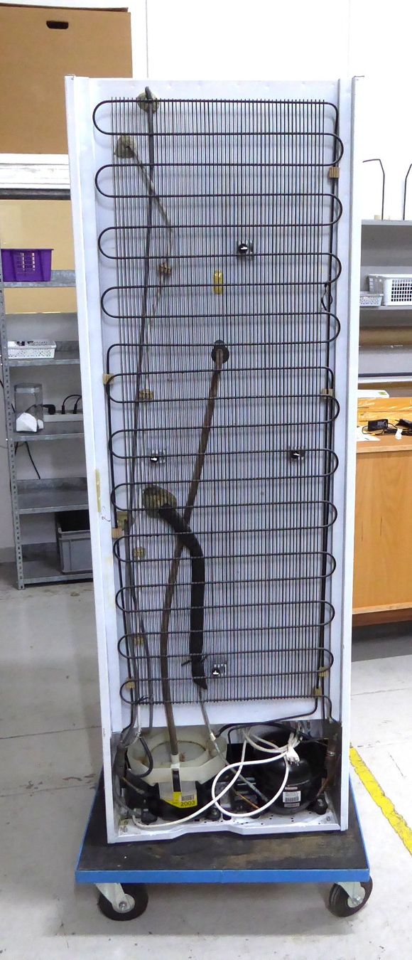 Electrolux Frigoriferi: ELECTROLUX Kühlschrank mit Gefrierschrank – Usato da Volketswil venduto da brockipfannenstil 3