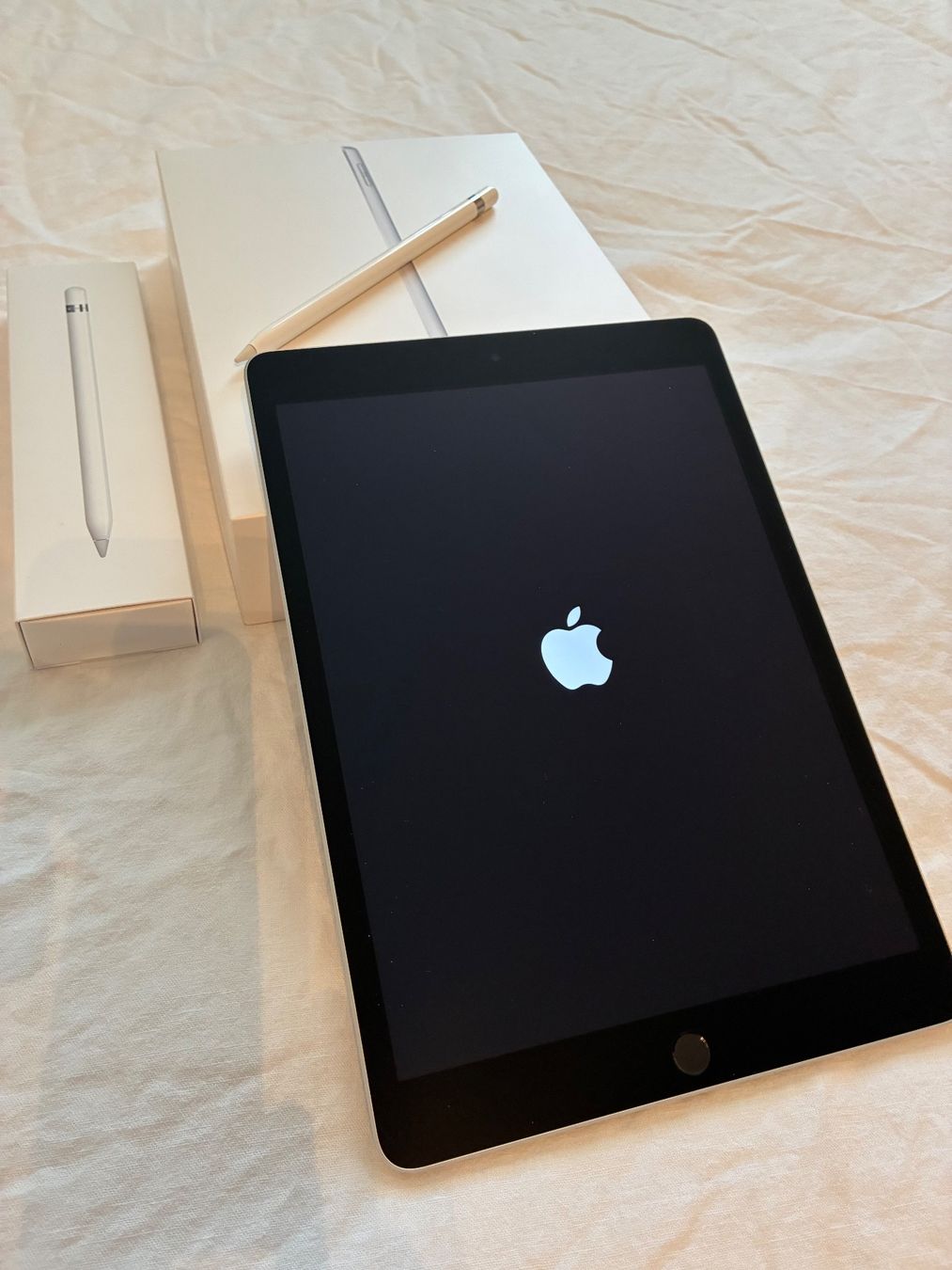 Tablet PC: iPad 9th Gen 64GB – Usato da Zürich venduto da martini_19